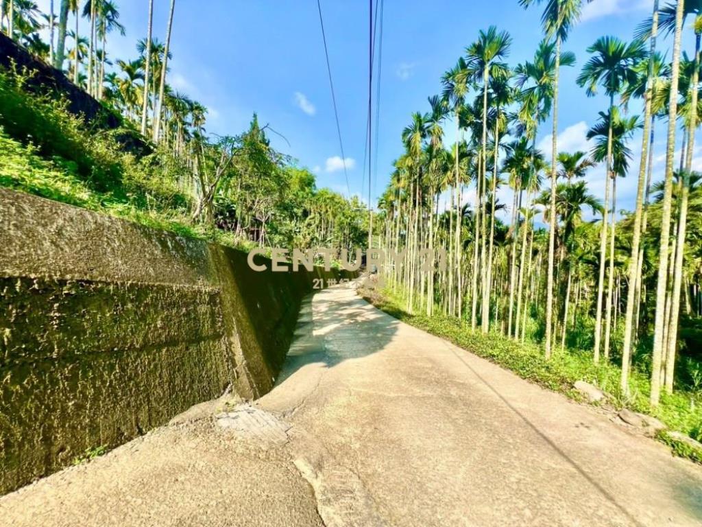 草屯土地-南坪路旁超低總價農地