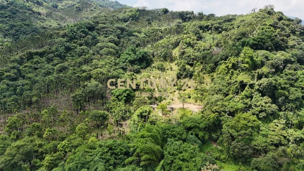 草屯土地-國姓市區旁有電景觀休閒農地