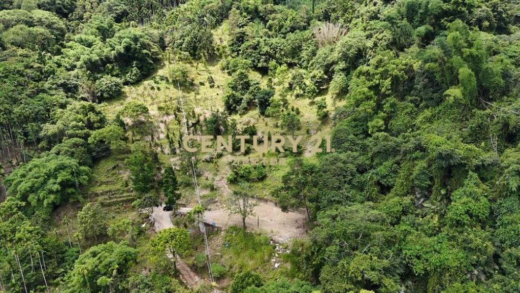草屯土地-國姓市區旁有電景觀休閒農地