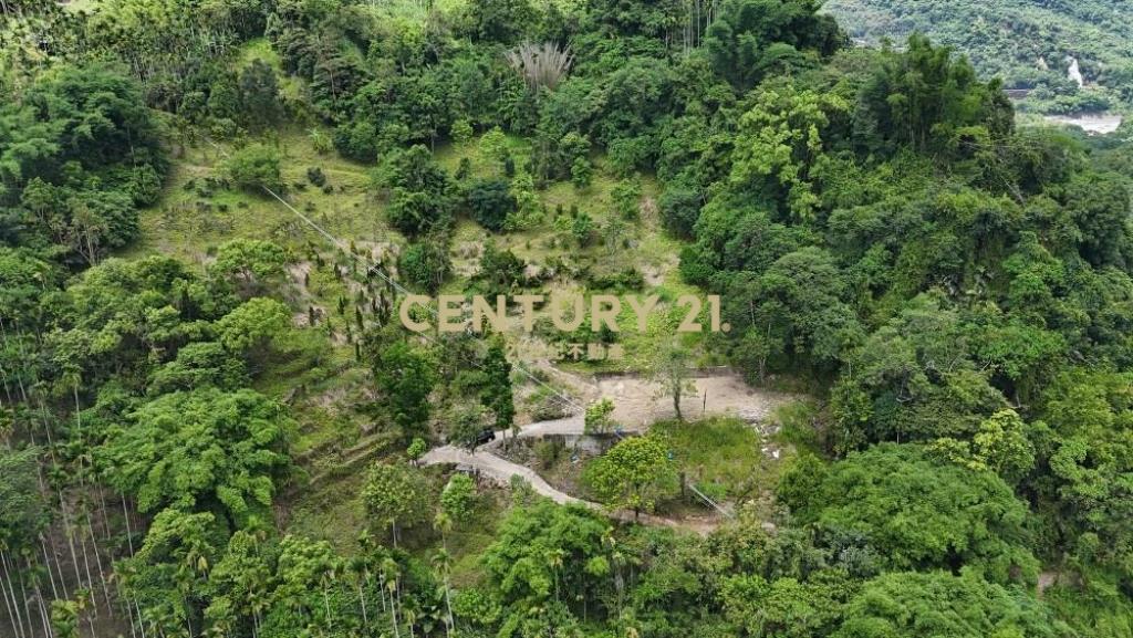 草屯土地-國姓市區旁有電景觀休閒農地