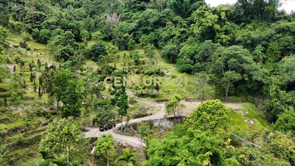 草屯土地-國姓市區旁有電景觀休閒農地