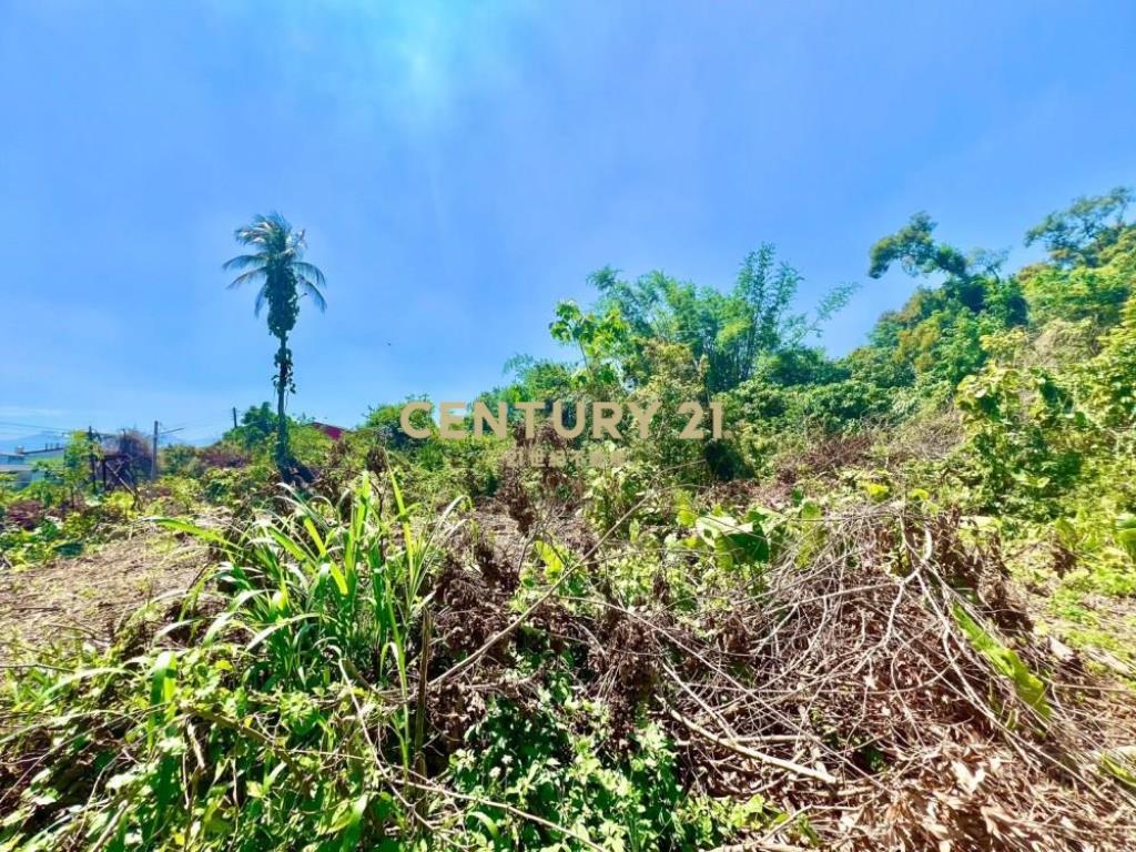 南投土地-南投都計內大坪數持分建地(五)