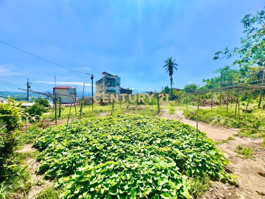 南投土地-南投都計內大坪數持分建地(五)