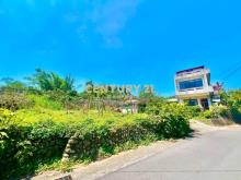 南投土地-南投都計內大坪數持分建地(六)