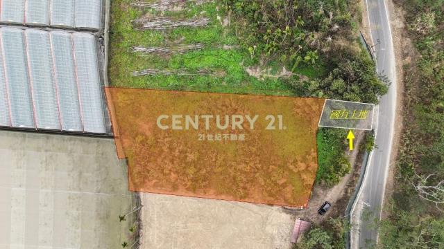 竹山土地-南投竹山鯉行路581坪農地