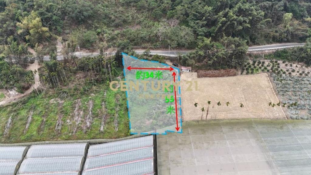 竹山土地-南投竹山鯉行路581坪農地