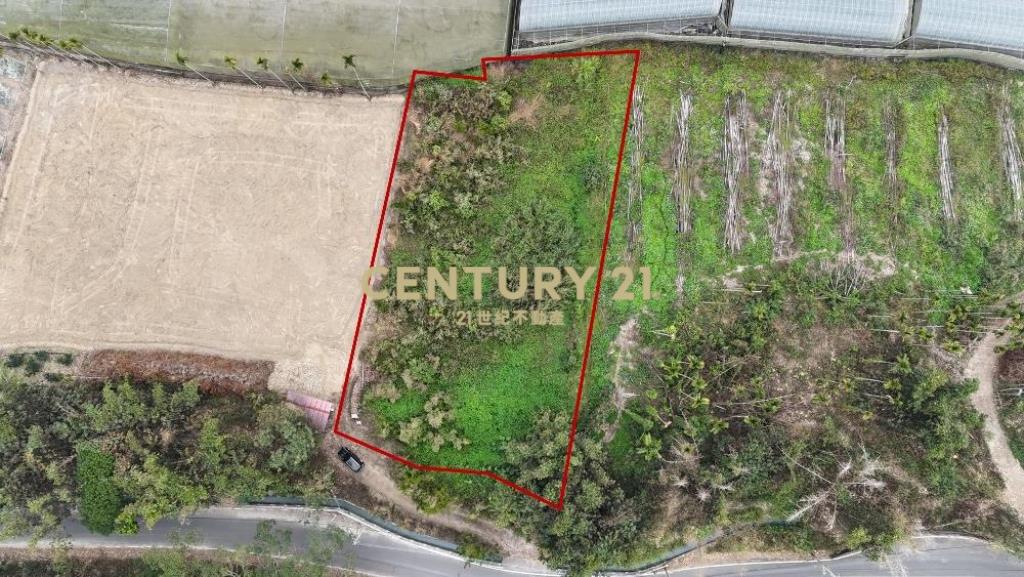 竹山土地-南投竹山鯉行路581坪農地