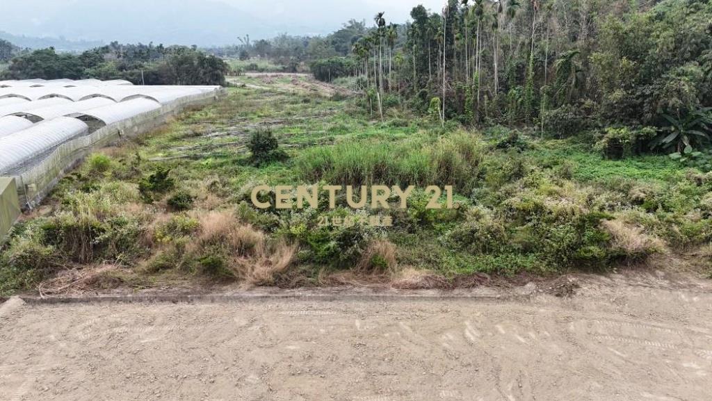 竹山土地-南投竹山鯉行路581坪農地