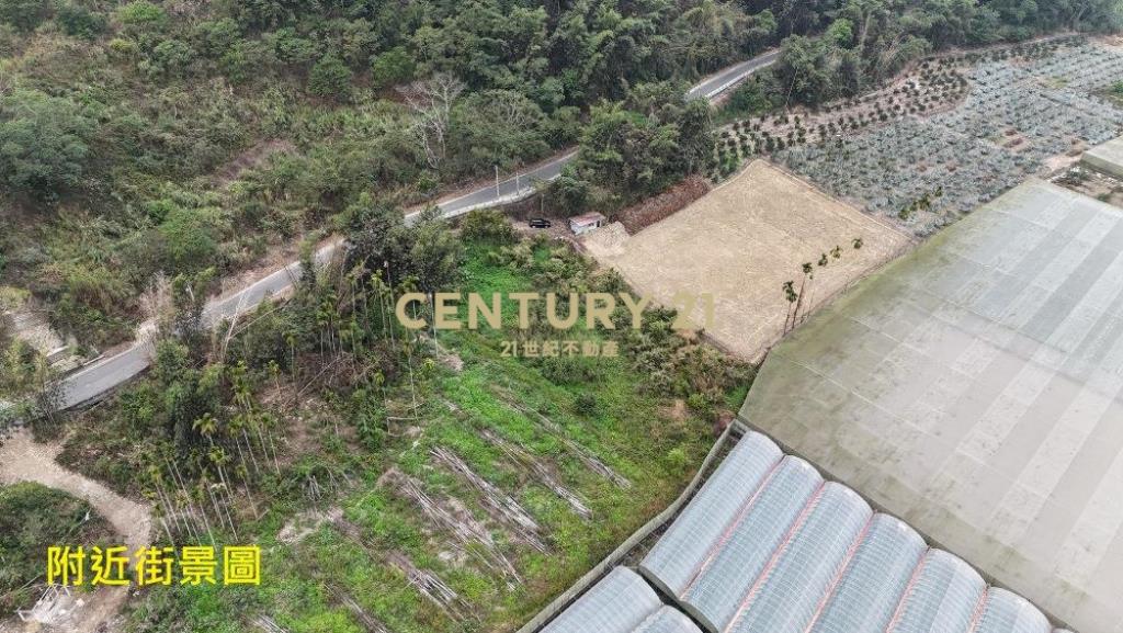 竹山土地-南投竹山鯉行路581坪農地