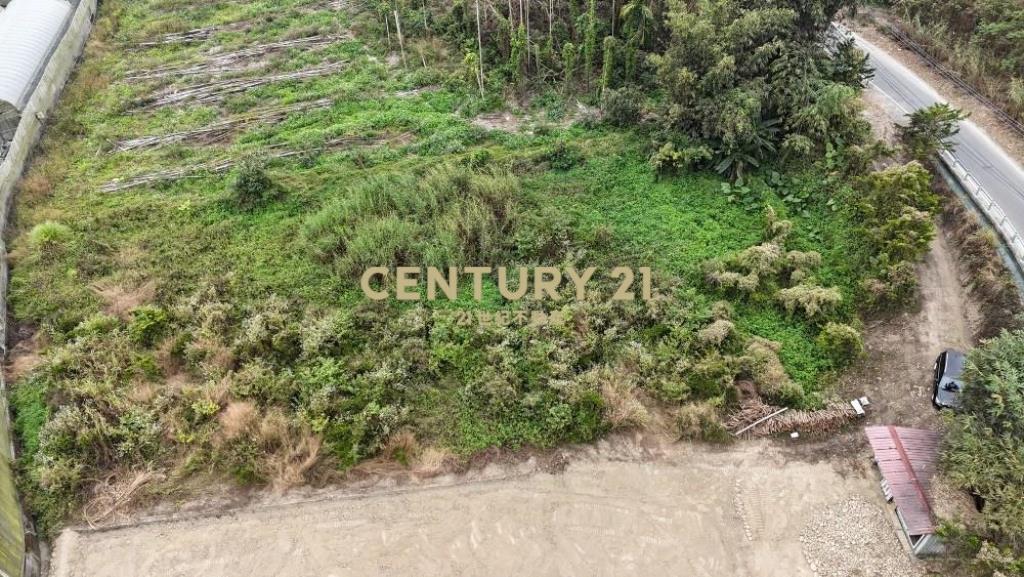竹山土地-南投竹山鯉行路581坪農地
