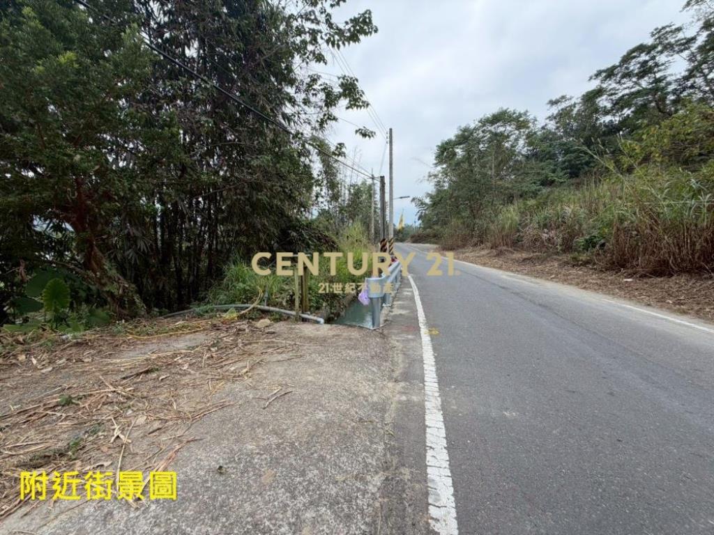 竹山土地-南投竹山鯉行路581坪農地