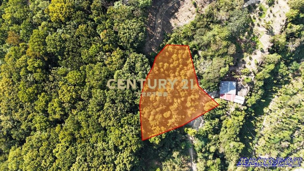 中寮土地-南投中寮內城3分農地