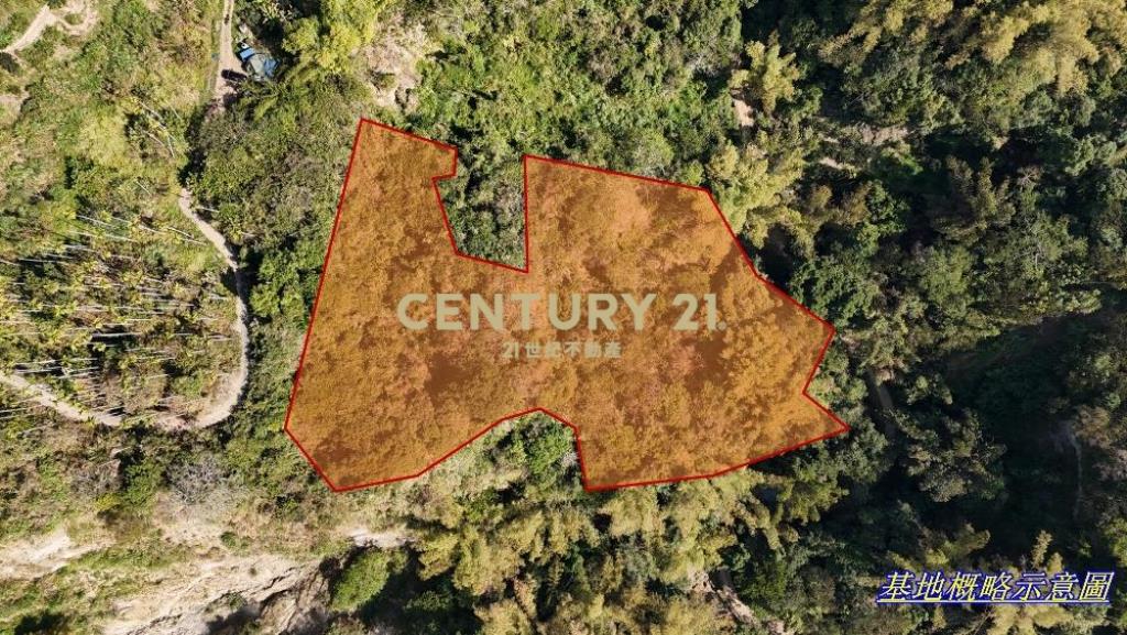 中寮土地-南投中寮內城5分農地