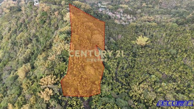 草屯土地-草屯雙冬1甲低總價農地