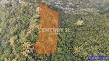草屯土地-草屯雙冬1甲低總價農地