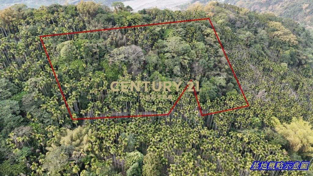 草屯土地-草屯雙冬1甲低總價農地