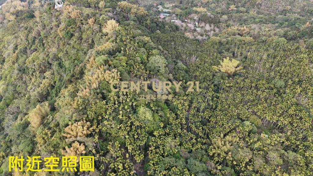 草屯土地-草屯雙冬1甲低總價農地