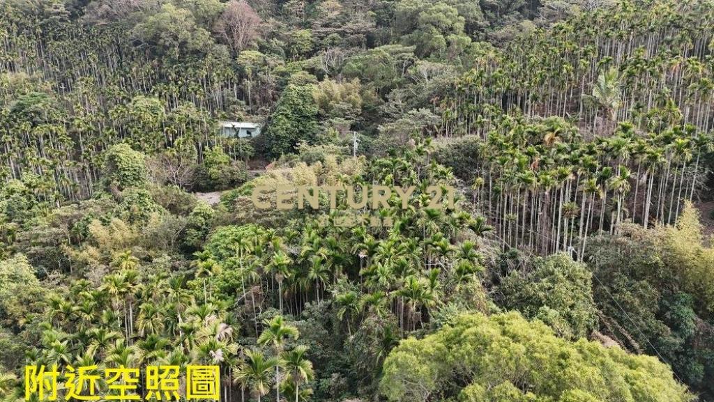 草屯土地-草屯雙冬1甲低總價農地