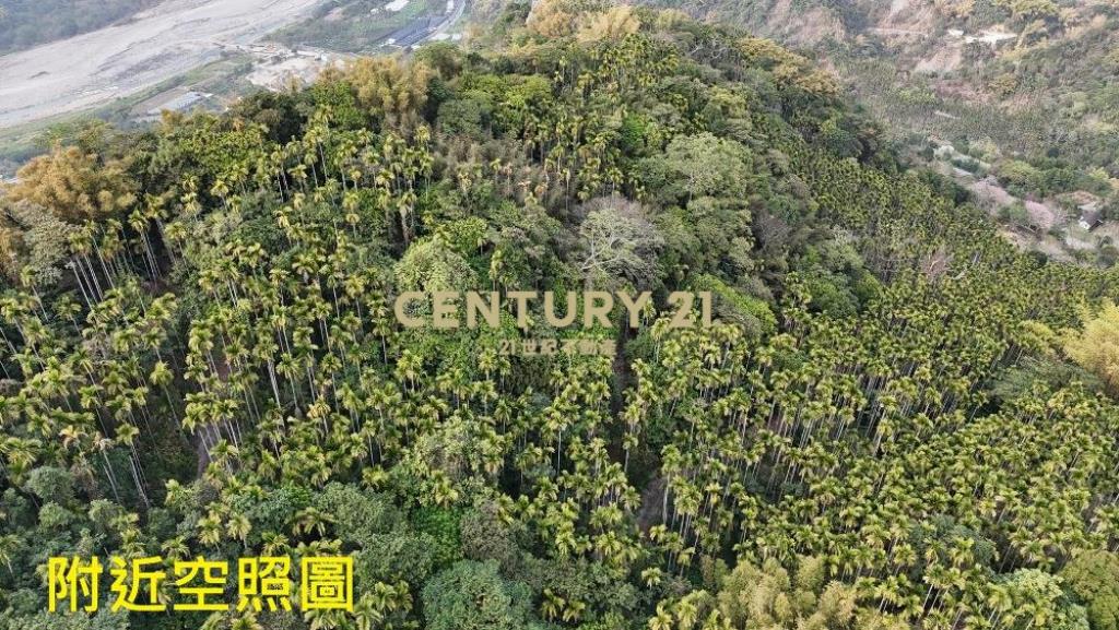 草屯土地-草屯雙冬1甲低總價農地