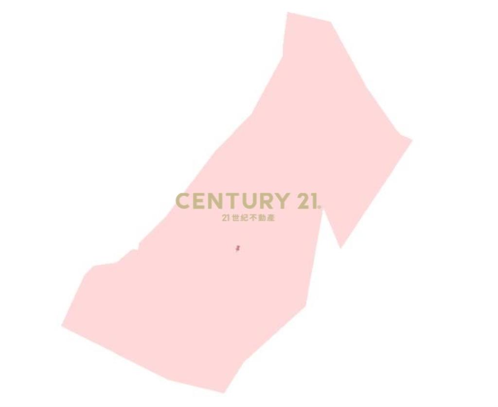 草屯土地-草屯雙冬1甲低總價農地