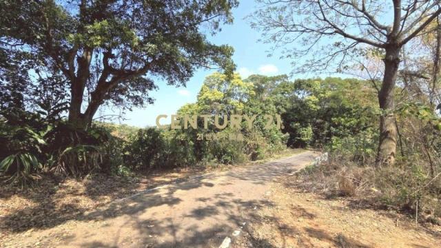 彰化土地-芬園楓坑段持分林地(一)