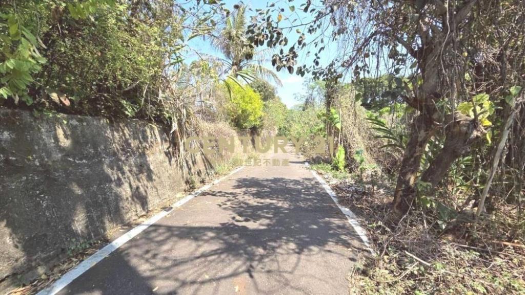 彰化土地-芬園楓坑段持分林地(一)