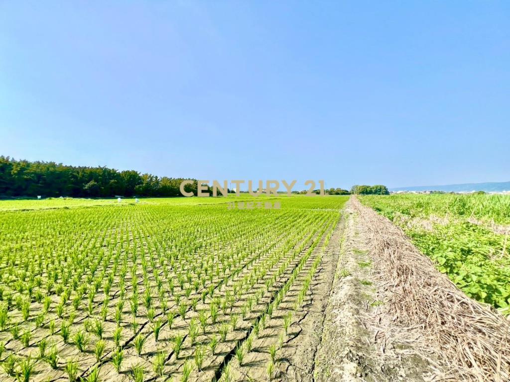 彰化土地-田中正東彰南路持分農地+平房