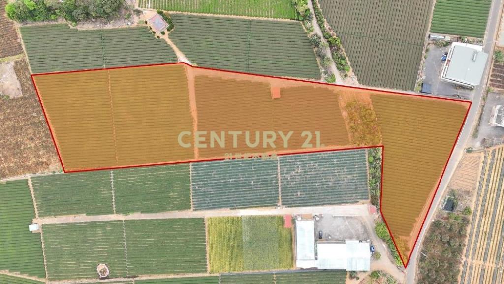 名間土地-名間大坑1.1甲大面寬農地