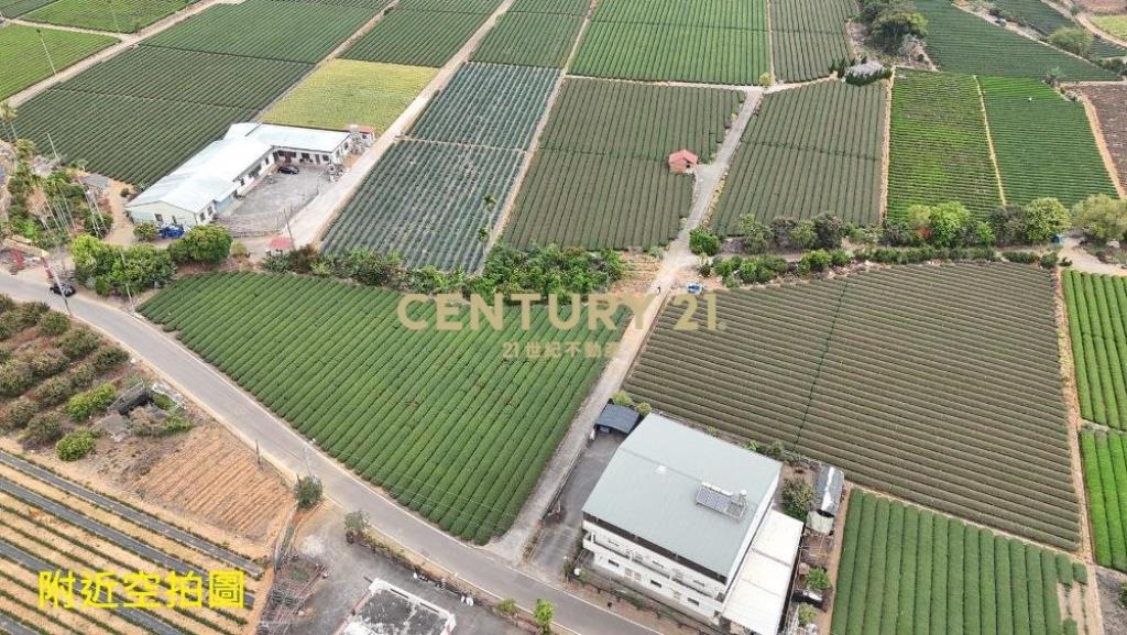 名間土地-名間大坑1.1甲大面寬農地