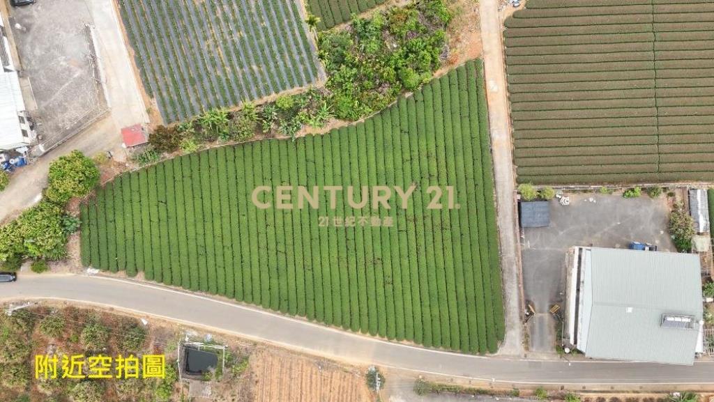 名間土地-名間大坑1.1甲大面寬農地