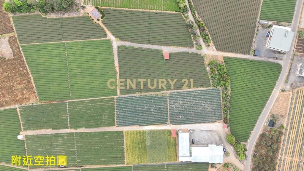 名間土地-名間大坑1.1甲大面寬農地