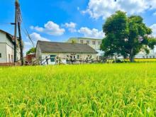 台中土地-近市區平房建地56坪農地89坪