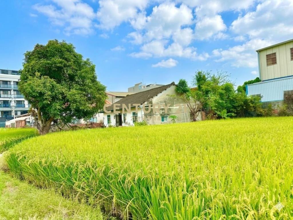 台中土地-近市區平房建地56坪農地89坪