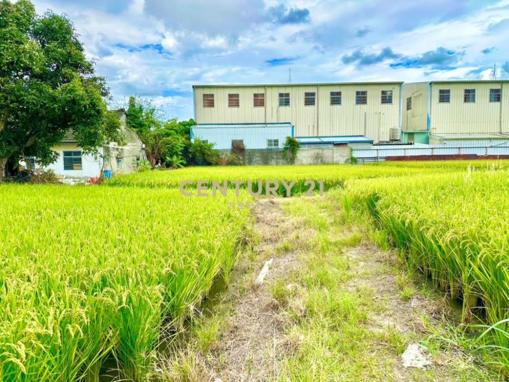 台中土地-近市區平房建地56坪農地89坪