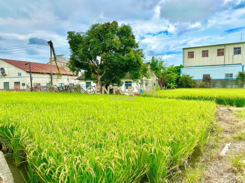 台中土地-近市區平房建地56坪農地89坪