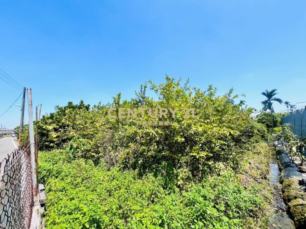 彰化土地-埔心264坪休閒方正農地