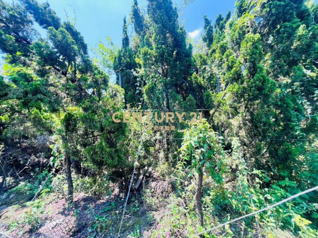 彰化土地-埔心2.9分大面寬農地+鐵皮