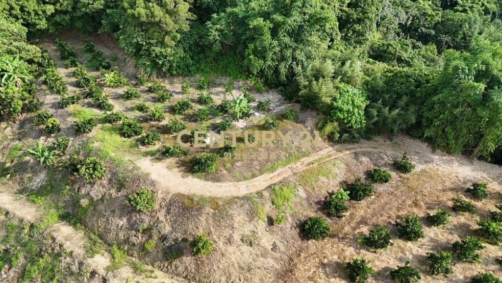 中寮土地-南投中寮內城3.7甲農地+建地