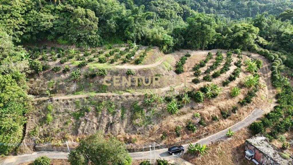 中寮土地-南投中寮內城3.7甲農地+建地