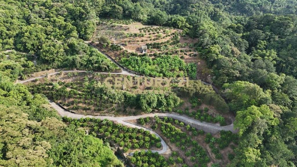 中寮土地-南投中寮內城3.7甲農地+建地