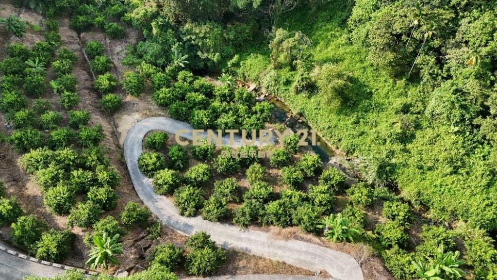 中寮土地-南投中寮內城3.7甲農地+建地