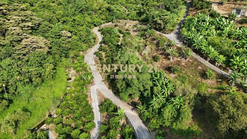 中寮土地-南投中寮內城3.7甲農地+建地