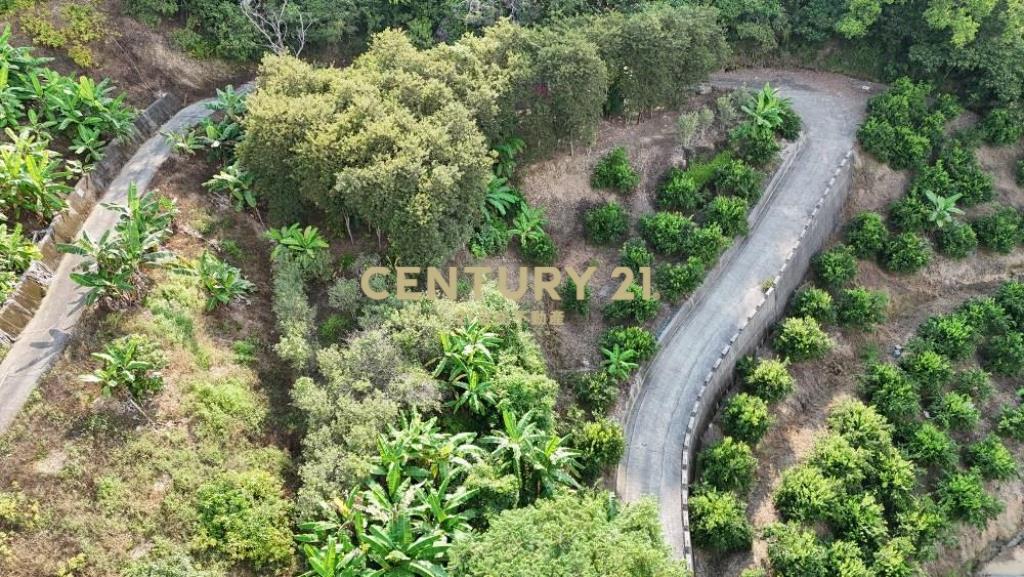 中寮土地-南投中寮內城3.7甲農地+建地