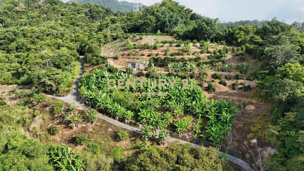 中寮土地-南投中寮內城3.7甲農地+建地