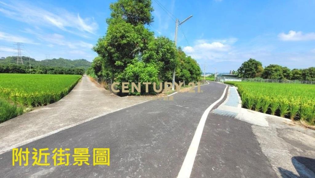 草屯土地-鳥嘴潭1687平坦農地