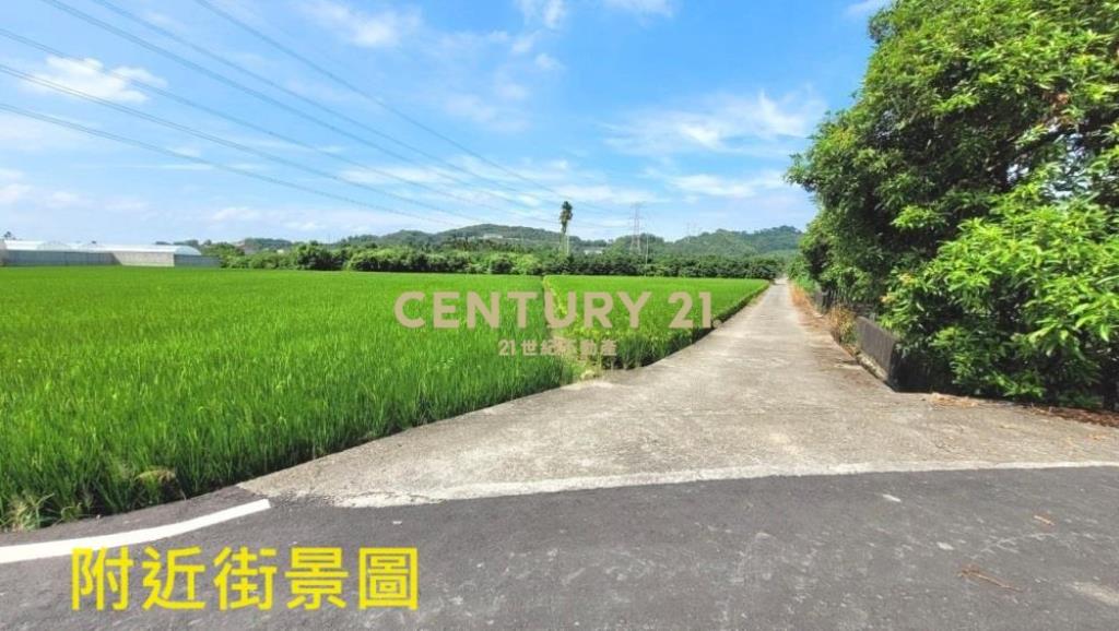 草屯土地-鳥嘴潭1687平坦農地
