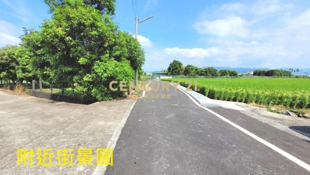 草屯土地-鳥嘴潭1687平坦農地