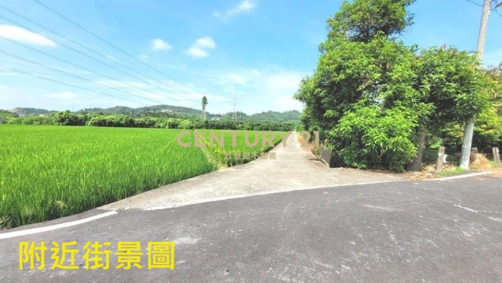 草屯土地-鳥嘴潭1687平坦農地