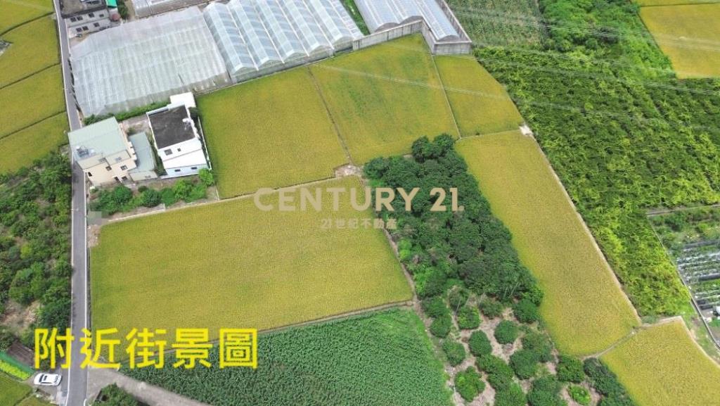 草屯土地-鳥嘴潭1687平坦農地