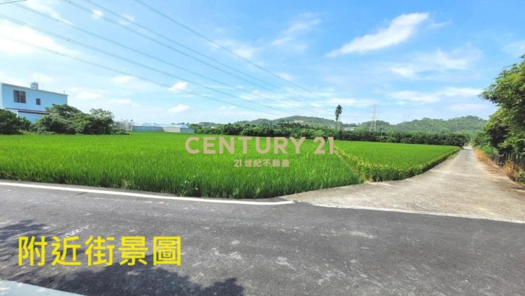 草屯土地-鳥嘴潭1687平坦農地